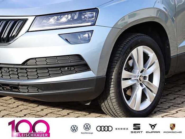 škoda karoq - business grau metallic